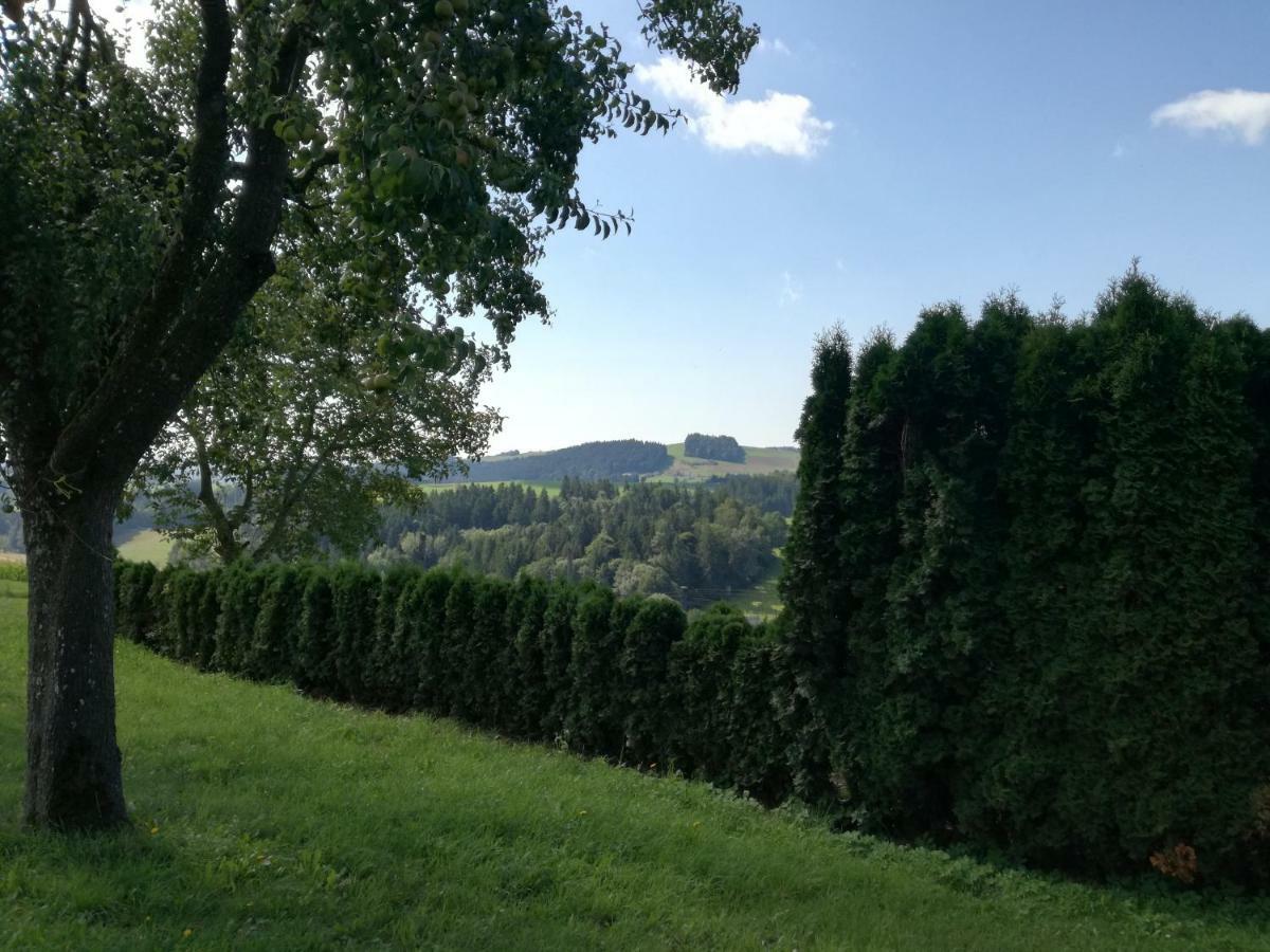 Jenny Villa Lembach im Muhlkreis Luaran gambar