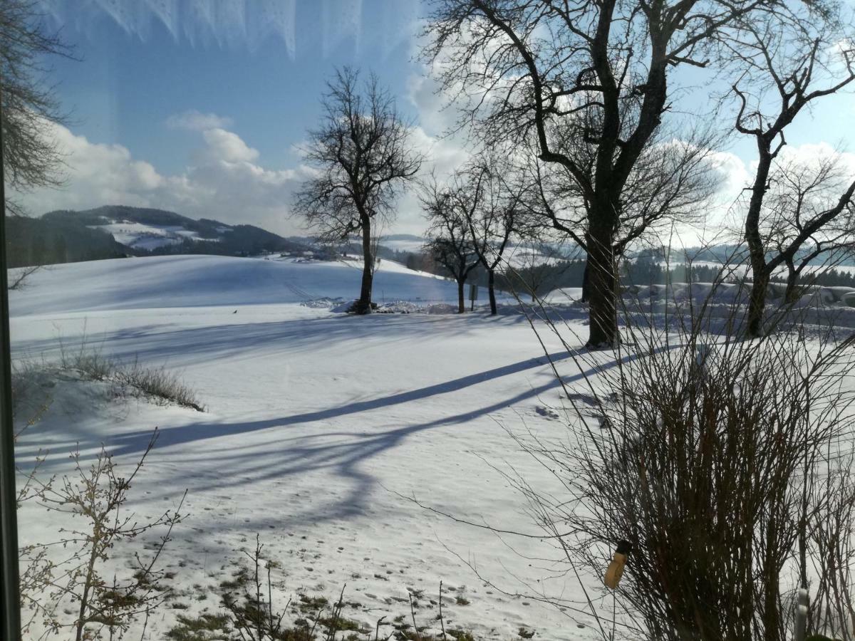 Jenny Villa Lembach im Muhlkreis Luaran gambar