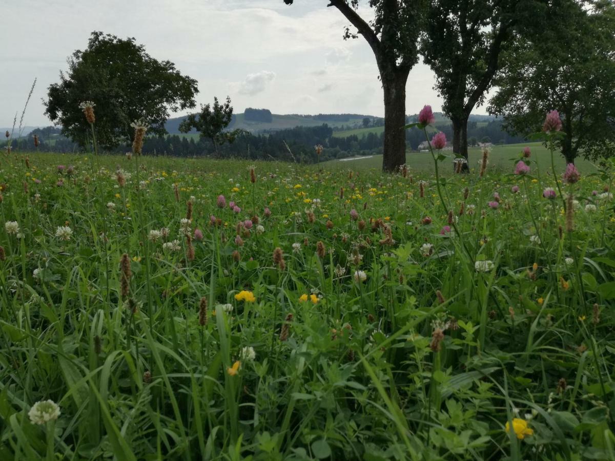 Jenny Villa Lembach im Muhlkreis Luaran gambar